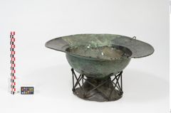 Foto von Bronzebreitrandfußschale (NHMW-PRAE-025437)